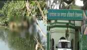MP: टीकमगढ़ में नदी में पानी पीने आईं 12 से ज्यादा नीलगायों की करंट लगने से मौत MP: टीकमगढ़ में नदी में पानी पीने आईं 12 से ज्यादा नीलगायों की करंट लगने से मौत