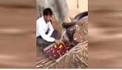 VIDEO: जहां पशुपालक गाय के साथ खाता है खाना, पनघट पर एक साथ पीते हैं पानी VIDEO: जहां पशुपालक गाय के साथ खाता है खाना, पनघट पर एक साथ पीते हैं पानी