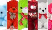 teddy day special and different color of teddy have different message