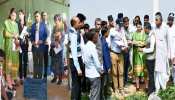 हिसार: स्ट्रॉबेरी और गाजर के किसानों के लिए खुशखबरी, आमदनी बढ़ाने के लिए ब्रिटेन करेगा हेल्प हिसार: स्ट्रॉबेरी और गाजर के किसानों के लिए खुशखबरी, आमदनी बढ़ाने के लिए ब्रिटेन करेगा हेल्प