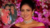 unknown and interesting facts about actress sridevi