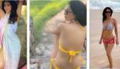 mallika sherawat bikini photos trending on social media