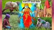 Shakambhari Jayanti: खेतों में काम करने वाली हर मां है देवी शाकंभरी Shakambhari Jayanti: खेतों में काम करने वाली हर मां है देवी शाकंभरी