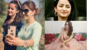 rubina dilaik sister jyotika dilaik trending on social media