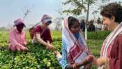 Assam Election 2021 priyanka gandhi dance and meet tea workers at sadhuru tea garden