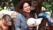 फोटो खिंचवा रहे थे पति-पत्‍नी, अचानक से KISS करने लगा चिम्पैंजी और फिर... देखें VIDEO