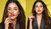 shehnaaz gill share her bold photoshoot pics by dabboo ratnani 