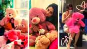 Ananya Pandey to Shraddha Arya celebs who have a wide collection of Teddy bear on teddy day