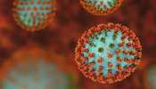 अपनी डेली डाइट में इन पांच चीजों को करें शामिल, पास तक नहीं भटकेगा इंफ्लूएंजा वायरस H3N2