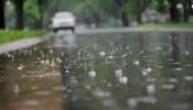 Rain in Delhi: दिल्ली में बारिश, तेज हवाओं ने बदला मौसम, जानिए वीकेंड तक कैसा रहेगा मौसम