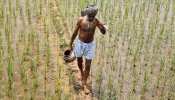 यूपी के 9 लाख किसानों को सरकार का तोहफा, 462 करोड़ की राशि जारी