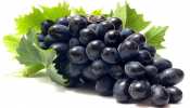 Navratri Black Grapes Benefits: काले अंगूर के सेवन से मिलते हैं ये अनोखे फायदे