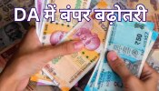 7th Pay Commission: केंद्रीय कर्मचारियों का महंगाई भत्ता बढ़ा, DA Hike के बाद इतनी बढ़ी सैलरी