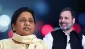 &#039;भाजपा से मिली हुई हैं मायावती&#039;, कांग्रेस ने बसपा प्रमुख पर लगाया ये आरोप