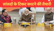 Loksabha Chunav: कुछ केंद्रीय मंत्रियों समेत 65 से ज्यादा सांसदों का टिकट काट सकती है बीजेपी, जानें किन पर होगा एक्शन