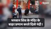 Viral Video Nandi seen saluting outside Lord Shiva temple