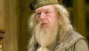 Sir Michael Gambon Died: &#039;हैरी पॉटर&#039; के डंबलडोर का निधन, इस बीमारी से हार गए जिंदगी की जंग