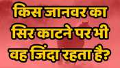Quiz: किस जानवर का सिर काटने पर भी वह जिंदा रहता है?