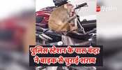Monkey stole liquor from bike near Kanpur police station in UP video of the incident went viral