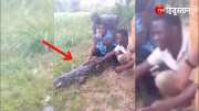 Viral Video People were sitting holding the crocodile to take selfie suddenly the crocodile woke up people ran to save their lives