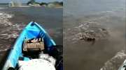 Viral Video A dangerous creature attacked a young man boat while boating people were surprised to see the video