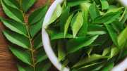 know about these 5 amazing health benefits of curry leaves kadi patte ke fayde