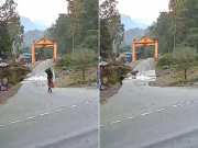 Video: क्या किस्मत थी रे भाई! बाघ की तरफ चले जा रहा था और फिर अचानक...बाल-बाल बचा