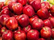 भारतीयों को खूब पसंद आ रहा Washington Apple का स्वाद, एक साल में लाल सेब का बढ़ा 16 गुना निर्यात 