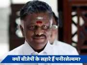 Tamilnadu Lok sabha Election: दक्षिण में बीजेपी के सहारे हैं पनीरसेल्वम, पहचान बचाने की है चुनौती 