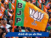 Loksabha Election: बीजेपी ने जारी की छठीं लिस्ट, राजस्थान के दो नेताओं का टिकट कटा