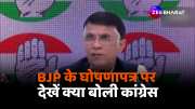 Congress party reaction on bjp Loksabha Election Manifesto c