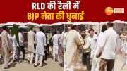 RLD, BJP, Jayant Chaudhary, Video, Video, Fight, Social Media, Loksabha Election 2024