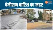 Weather News Unseasonal Rain Wreaks Havoc In Burhanpur Maize Ruined In water