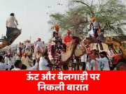 Rajasthan Viral Video groom arrived to pick up bride on bullock cart at Bikaner