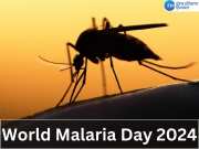World Malaria Day 2024: क्यों मनाया जाता है विश्व मलेरिया दिवस? जानें इसका इतिहास और महत्व  