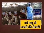 Bird Flu cases Confirmed In Ranchi RRT Issued Alert In Jharkhand