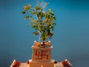 Tulsi ke Upay for money related problems read tulsi remedies here