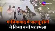 Ghaziabad society Pet dog attacks child video viral