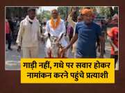 Satyendra Baitha Riding Donkey In Nomination From Gopalganj Seat Bihar Politics For Lok Sabha Chunav 2024