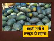 Watermelon Demand Increased As Temperature Increased In Dumka Jharkhand Weather