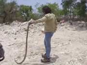 6 feet long snake came to powder plant created panic among workers Rajsamand News