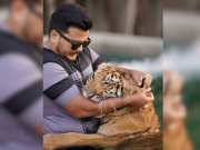 Leopard attacked a person watch wild animal viral video 