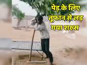 Viral video This person is ready to fight even the storm to save tree