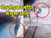 Pali News bear breaking gate of temple and eating prasad captured in CCTV