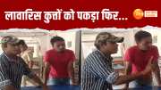 gang is extracting blood of stray dogs in bareilly watch this video