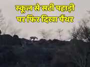 Panther again seen  on hill adjacent to the school Bhilwara News