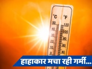 Delhi Weather: भीषण गर्मी से मचा हाहाकार, झुलसा देने वाली लू को लेकर IMD ने जारी किया अलर्ट 