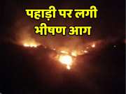 Sawai Madhopur Fire broke out in forest hill near population in Malarna Dungar