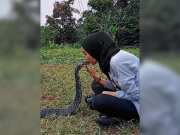 Video of foreign girl romancing with King cobra goes viral