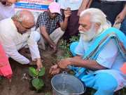 Rajasthan में हुआ वृक्षारोपण अभियान का आगाज़, प्रदेश में लगाए जाएंगे करोड़ों पौधे